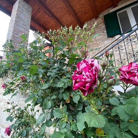 Villa Kortina Bašanija Buitenkant foto