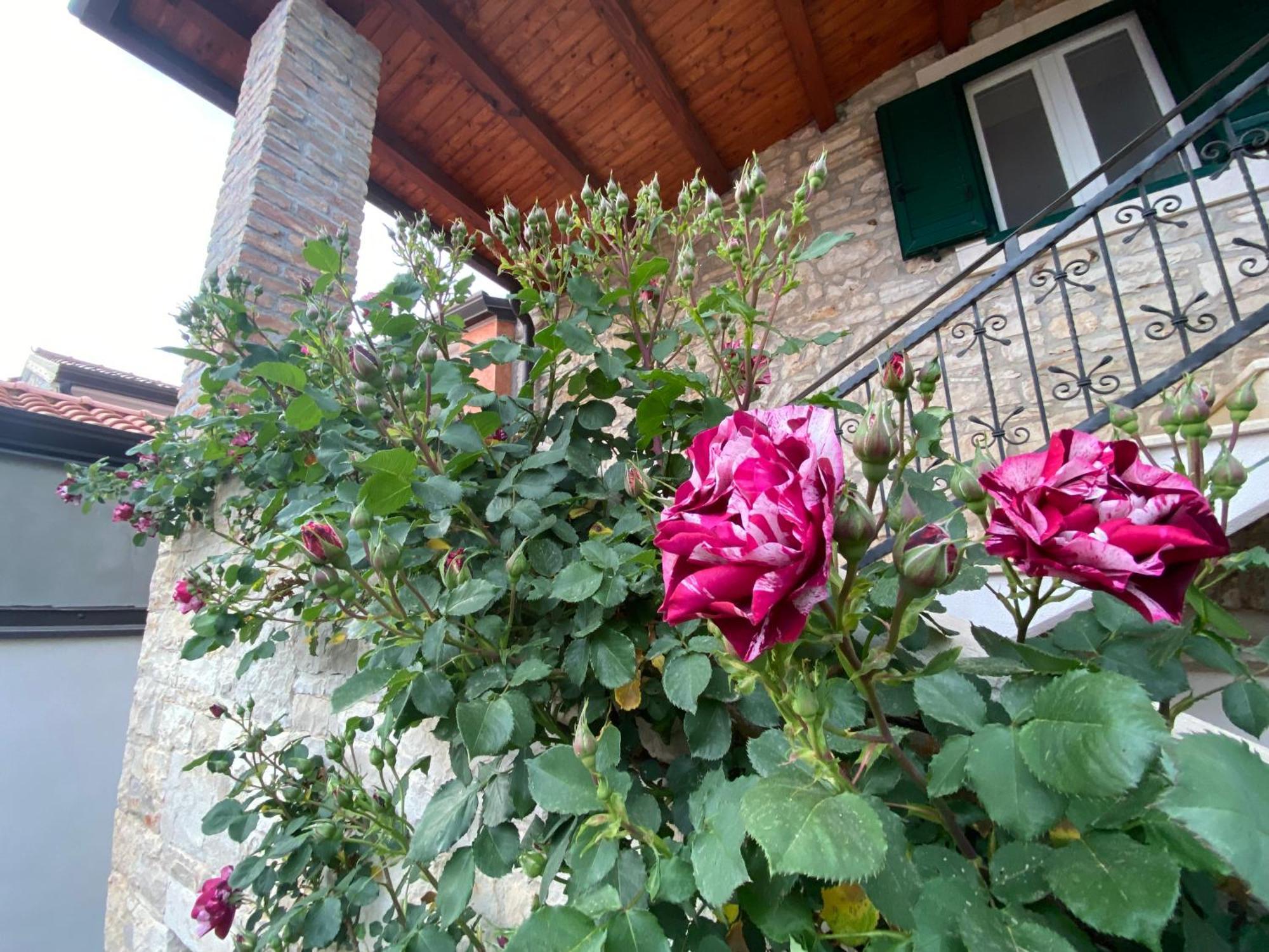 Villa Kortina Bašanija Buitenkant foto